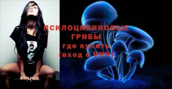 спиды Бронницы