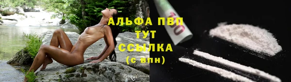 спиды Бронницы