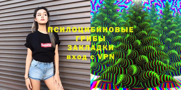 соль курить ск Бородино