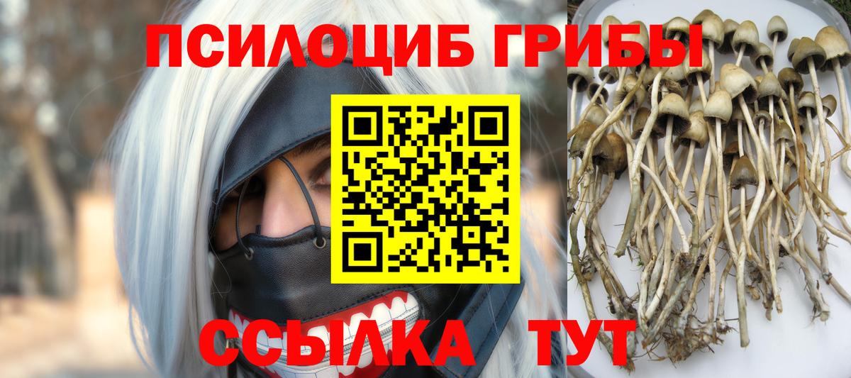 Луховицы  Галлюциногенные грибы MAGIC MUSHROOMS  Вход с VPN 